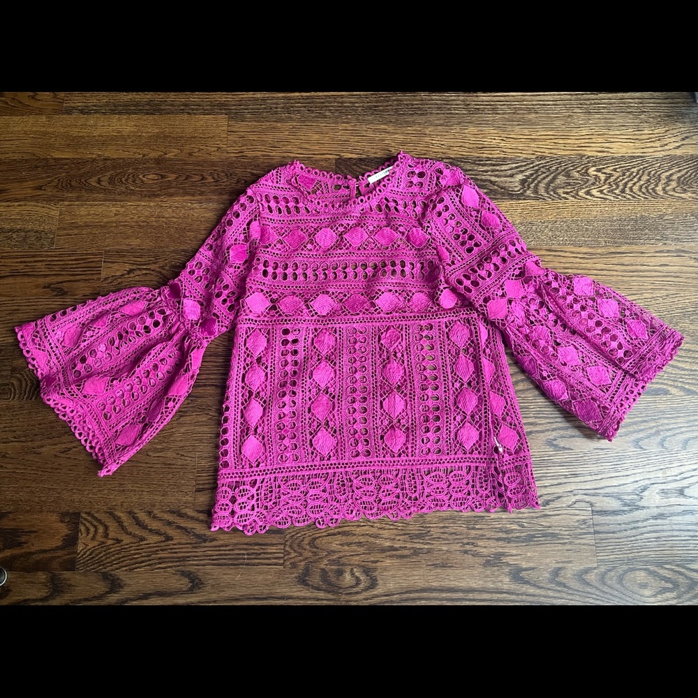 Sheer flare-sleeved pink top.